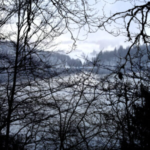 Le Lac Pavin (63) entre les branches