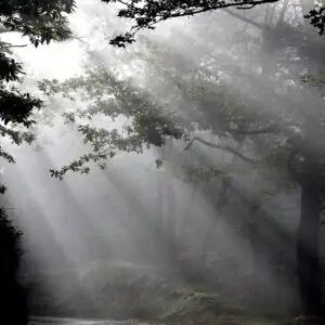 Chemin vers le Viaduc des Rochers Noirs (Corrèze)