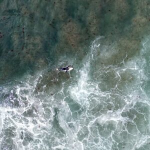 Un surfeur au Portugal, survolé par un drôle d'oiseau...