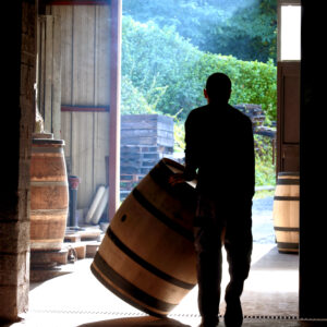 Décoration pour cavistes et amateurs de vin...