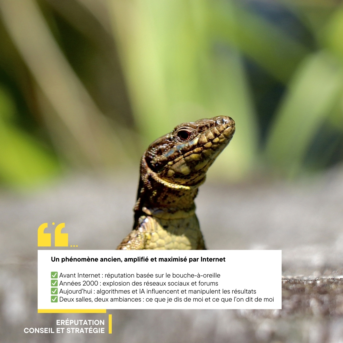 Un phénomène ancien, amplifié et maximisé par Internet