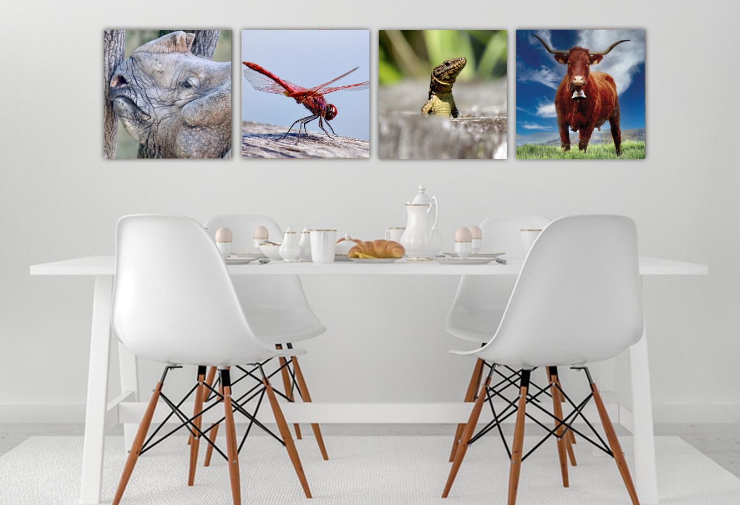 cuisine-animale cuisine-animale